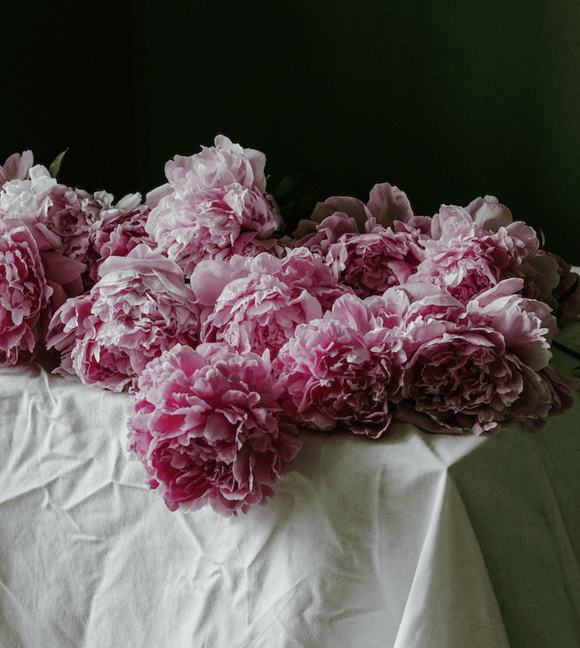 Photo of Peonies